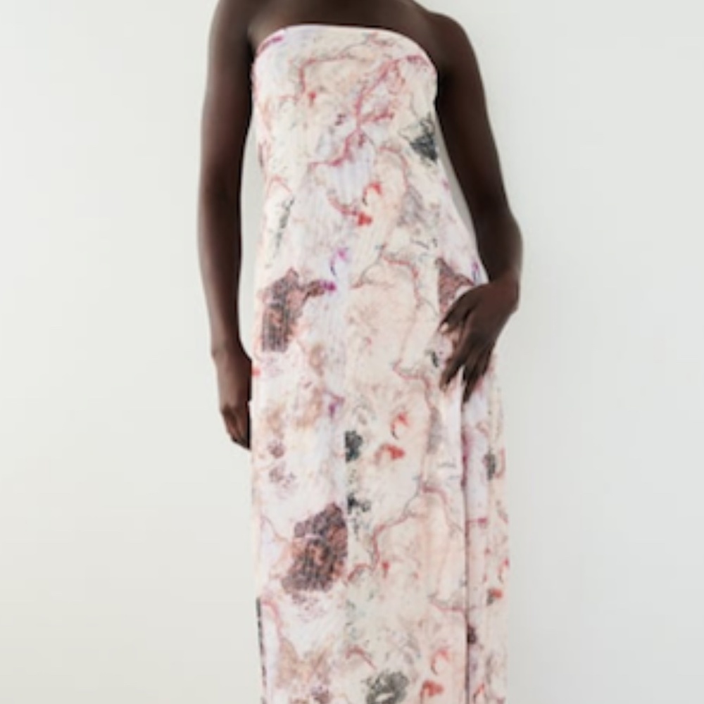 Zara Tulle Maxi Dress